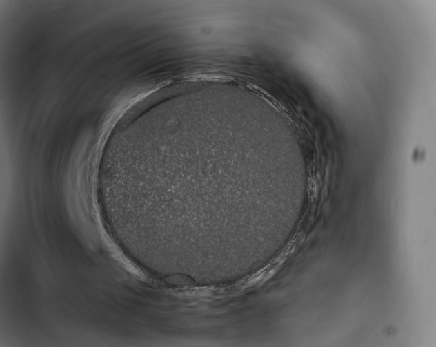 X0000103270049200809051517