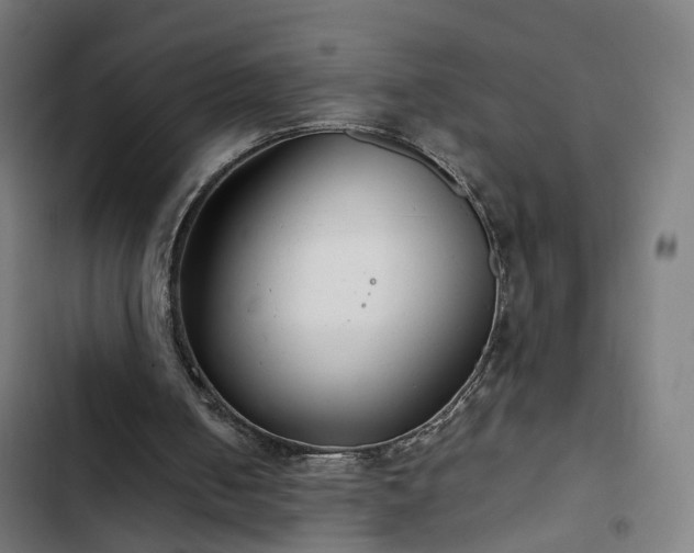 X0000103270050200809051517