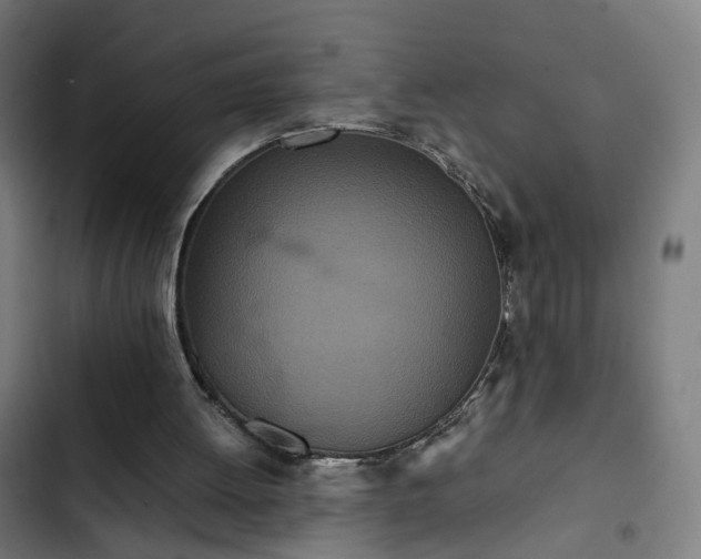 X0000103270052200809051517