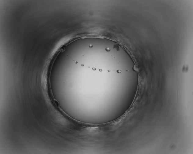 X0000103270054200809051517
