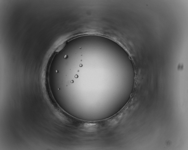 X0000103270055200809051517