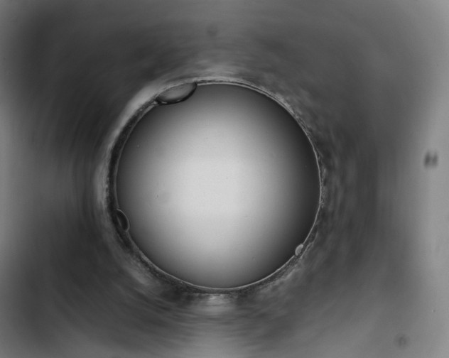 X0000103270056200809051517