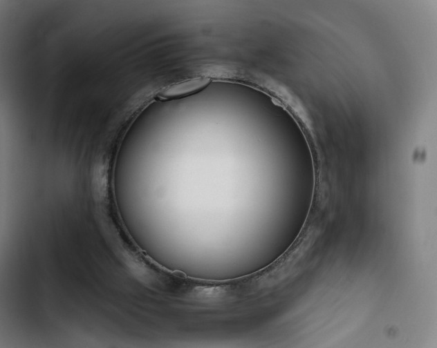 X0000103270057200809051517