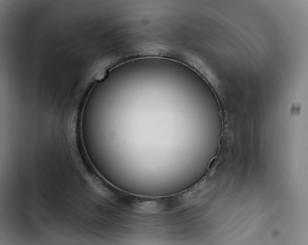 X0000103270058200809051517