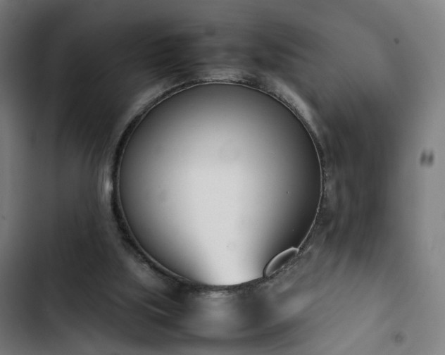 X0000103270059200809051517