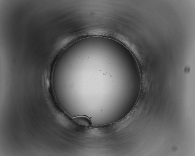 X0000103270062200809051517