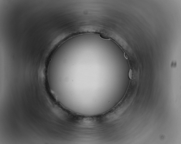 X0000103270064200809051517