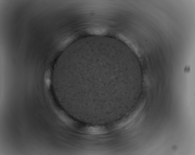 X0000103270069200809051517