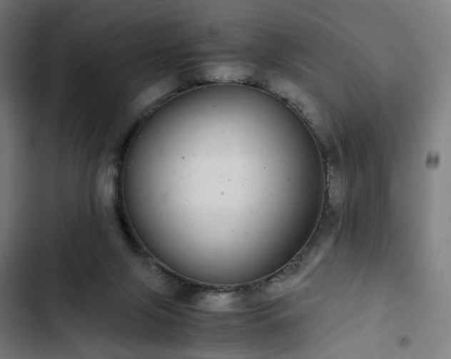 X0000103270071200809051517