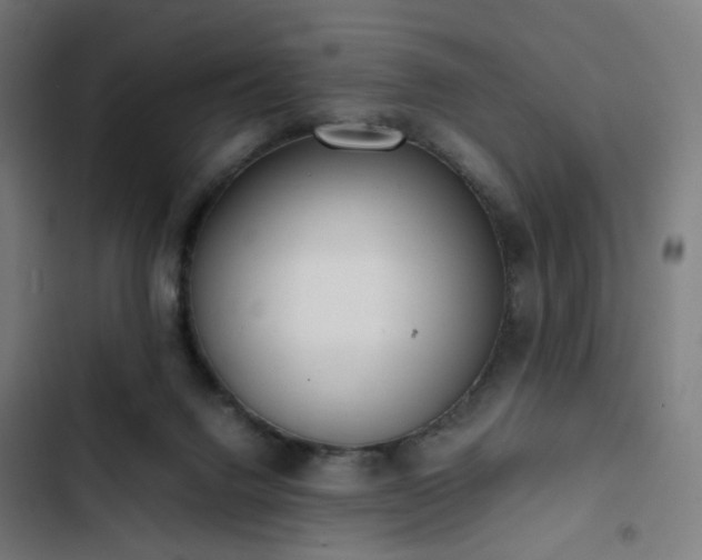 X0000103270072200809051517
