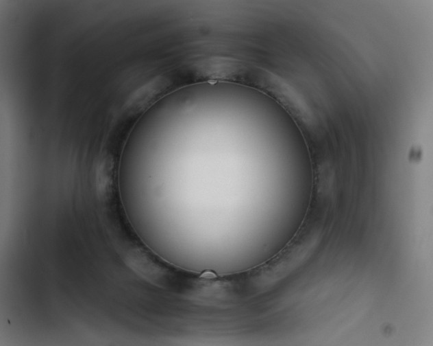 X0000103270073200809051517
