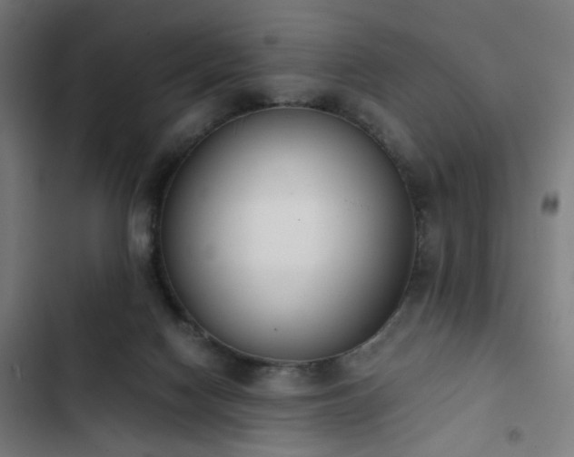 X0000103270074200809051517