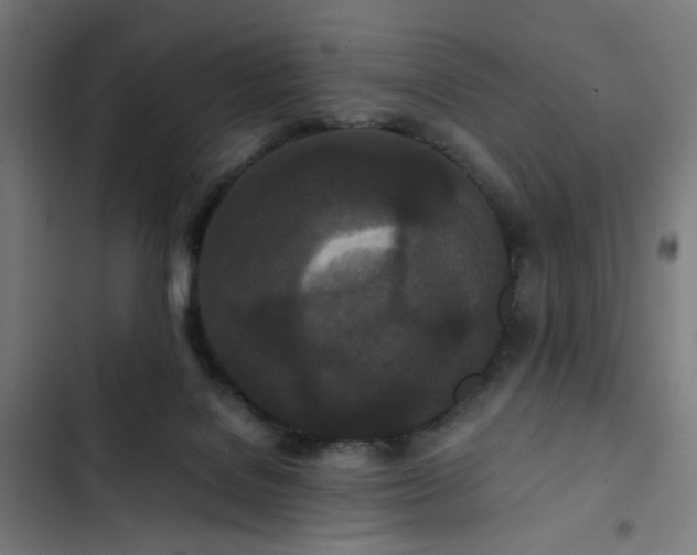 X0000103270076200809051517