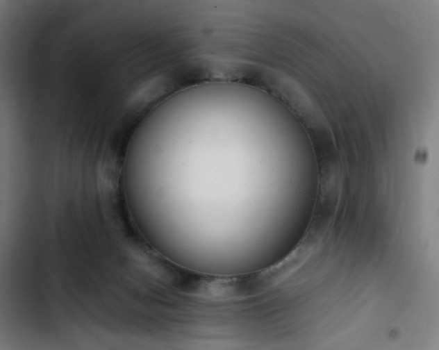X0000103270078200809051517
