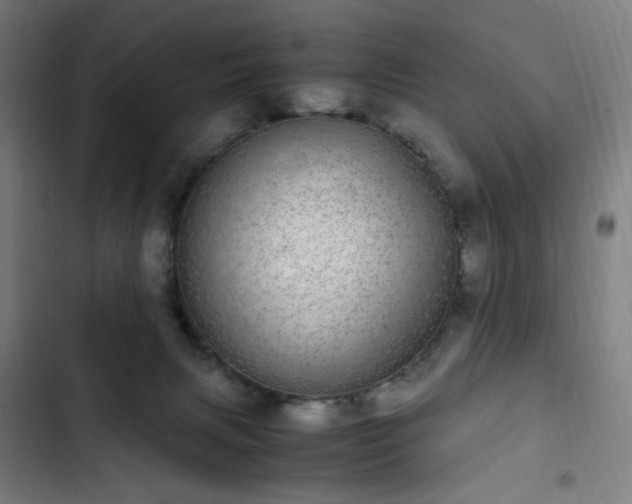 X0000103270079200809051517