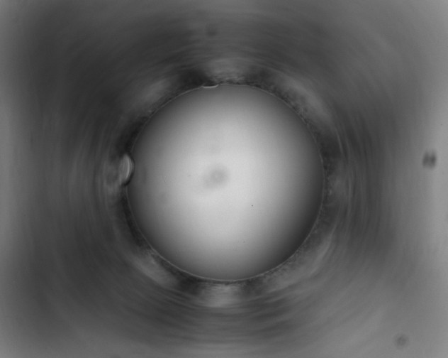 X0000103270081200809051517