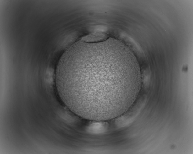 X0000103270083200809051517