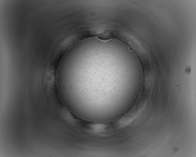 X0000103270085200809051517