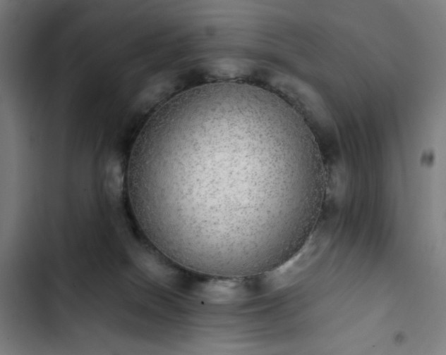 X0000103270086200809051517