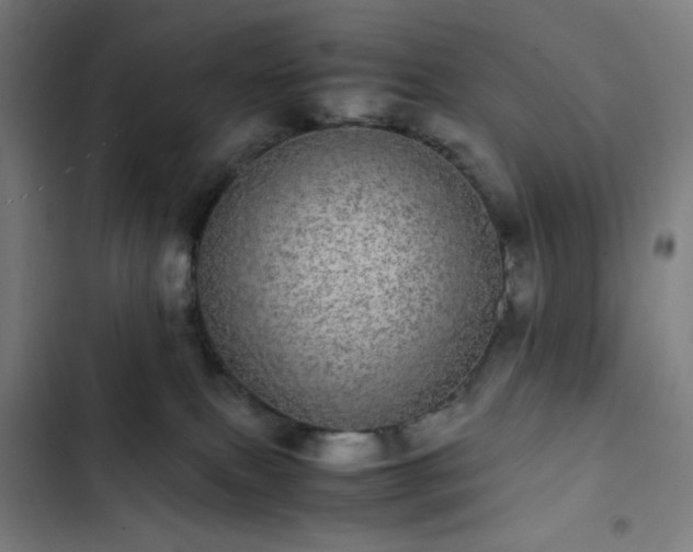 X0000103270087200809051517
