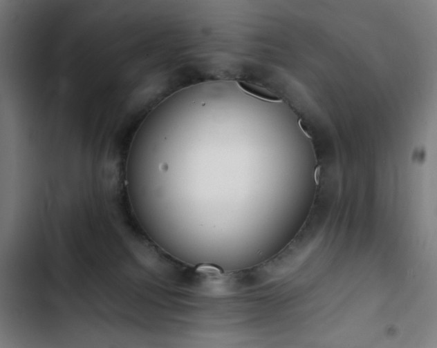 X0000103270088200809051517