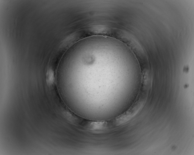 X0000103270089200809051517