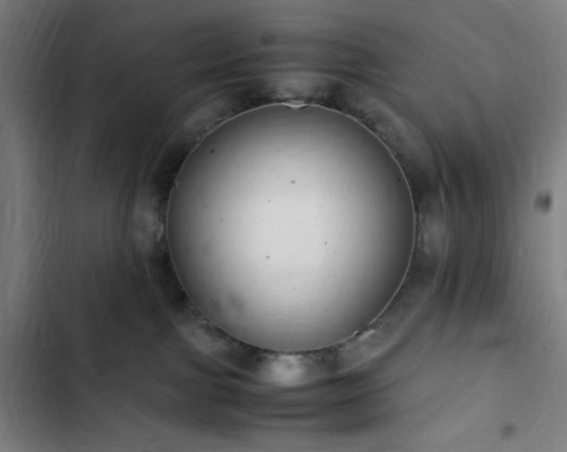 X0000103270091200809051517