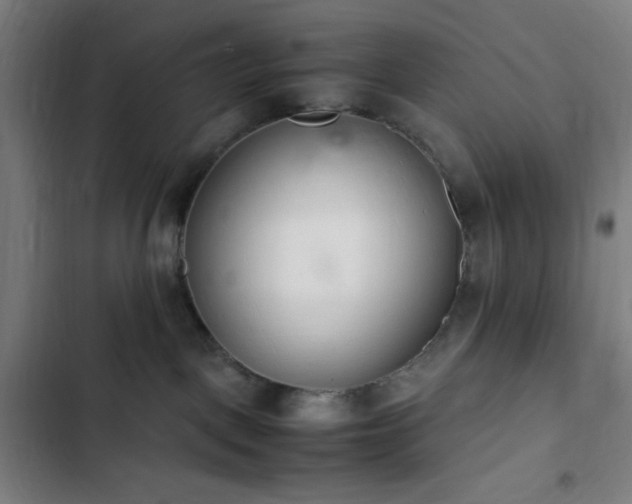 X0000103270093200809051517