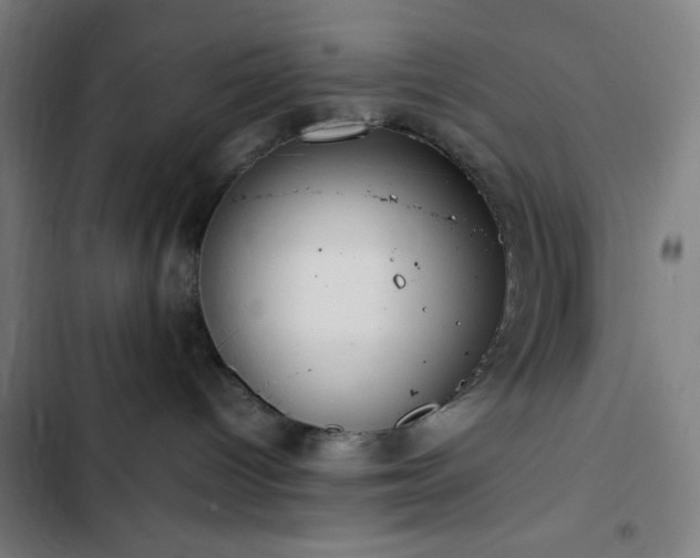 X0000103270096200809051517