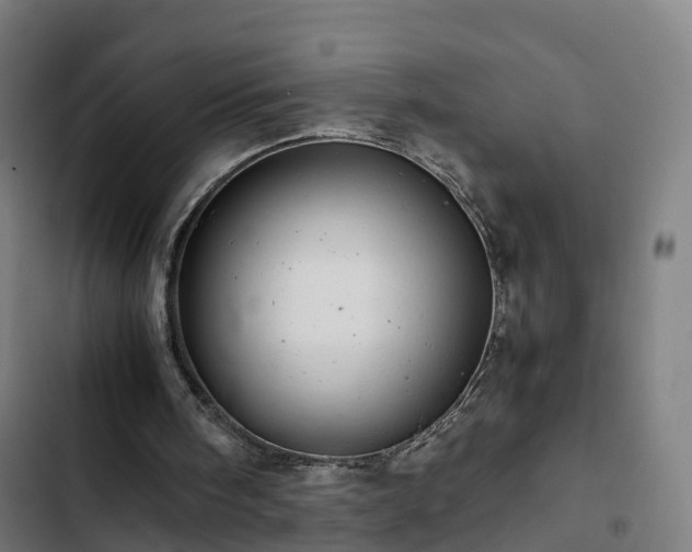 X0000103270098200809051517