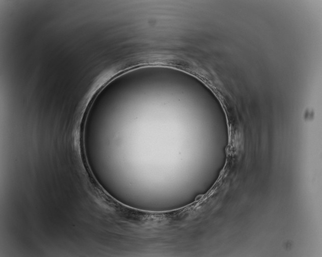 X0000103270099200809051517