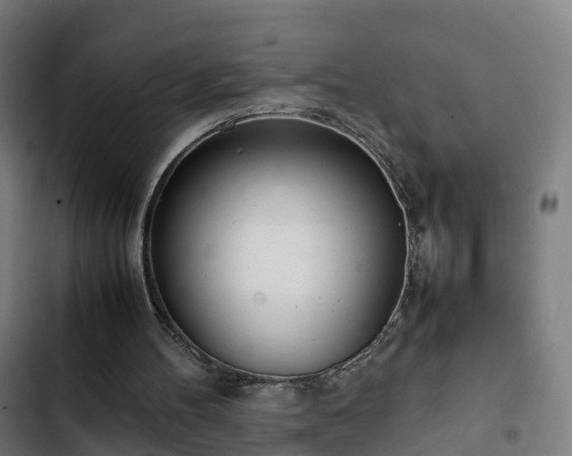 X0000103270100200809051517