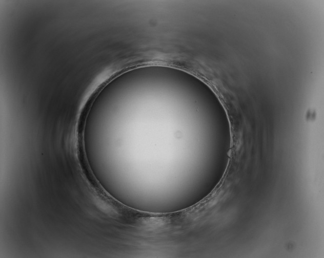 X0000103270102200809051517