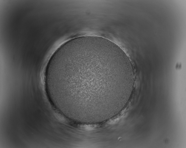 X0000103270103200809051516