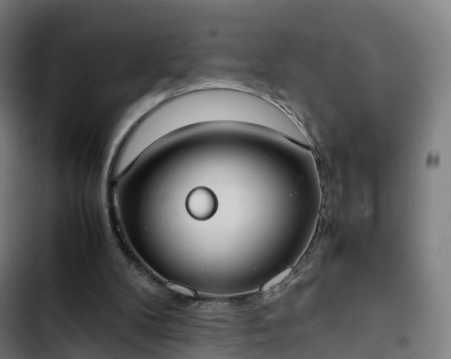 X0000103270104200809051516