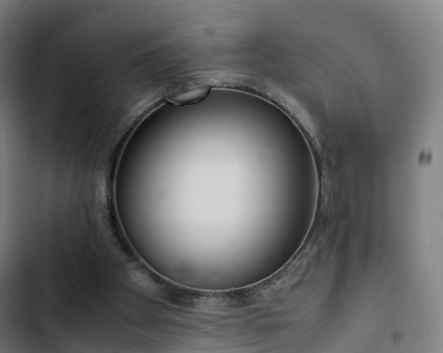 X0000103270105200809051516