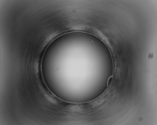 X0000103270106200809051516