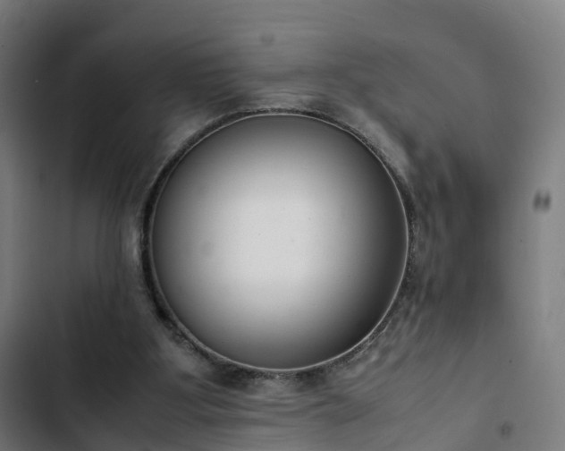 X0000103270107200809051516