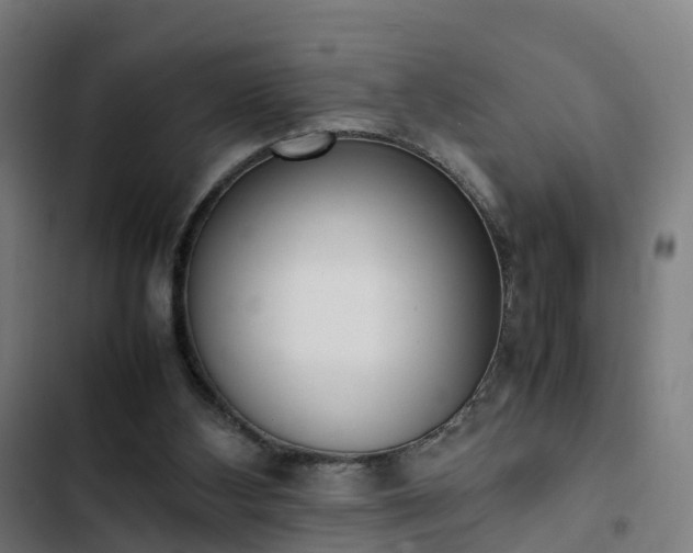 X0000103270108200809051516