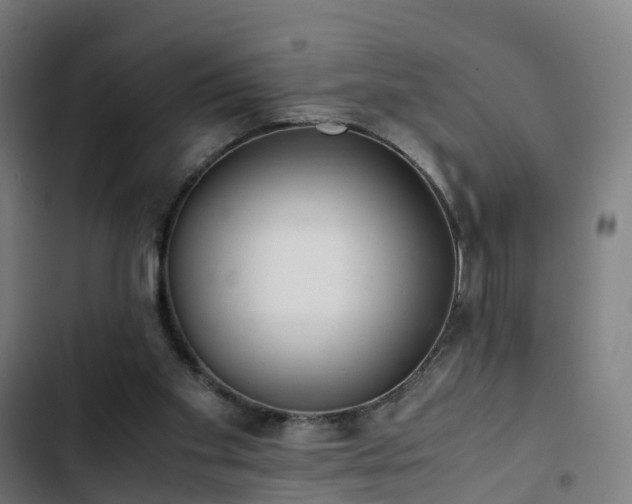 X0000103270109200809051516