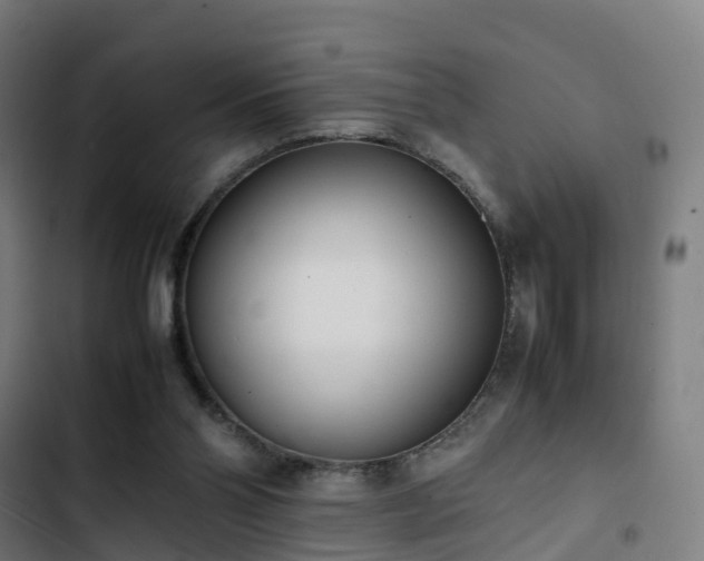 X0000103270110200809051516