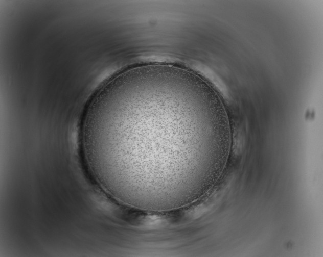 X0000103270111200809051516