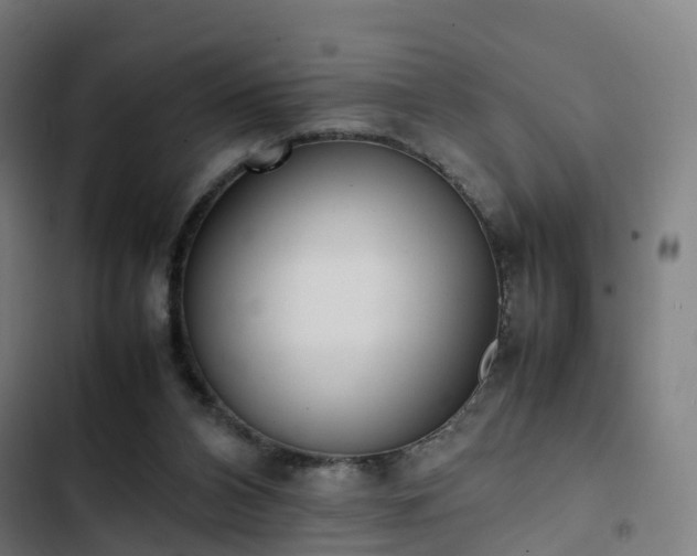 X0000103270112200809051516
