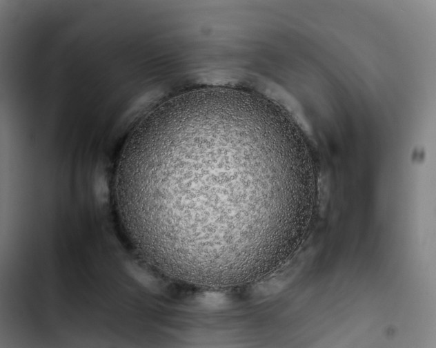 X0000103270114200809051516