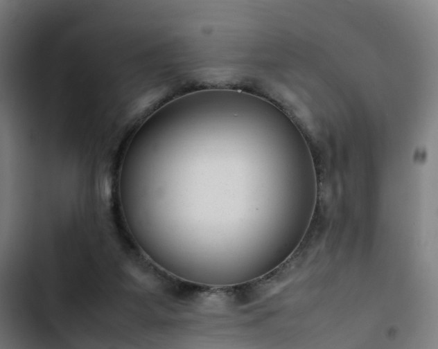 X0000103270115200809051516