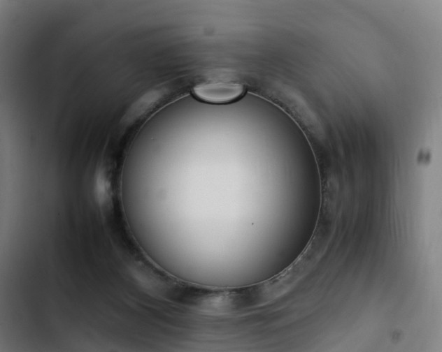X0000103270116200809051516