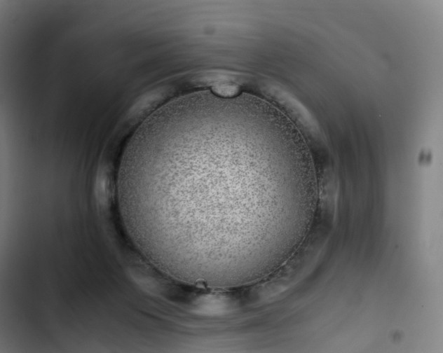 X0000103270119200809051516