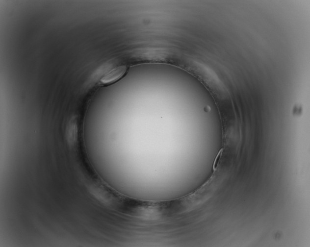 X0000103270120200809051516