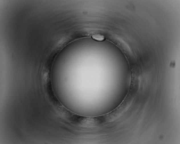 X0000103270123200809051516