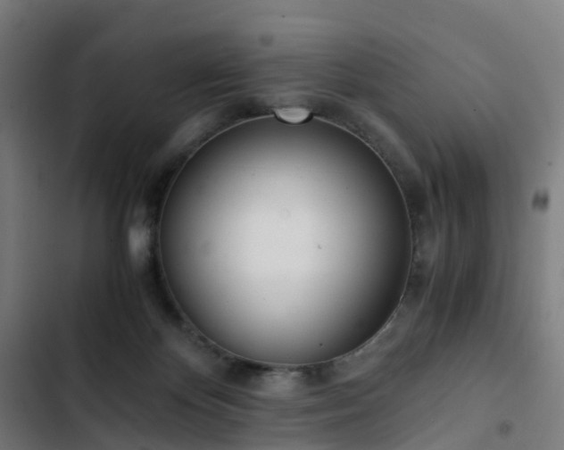 X0000103270124200809051516